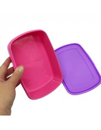 Ланчбокс пластикорвий, 750 мл