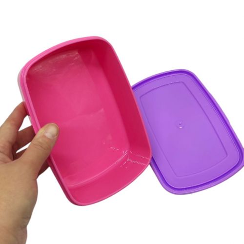 Ланчбокс пластикорвий, 750 мл