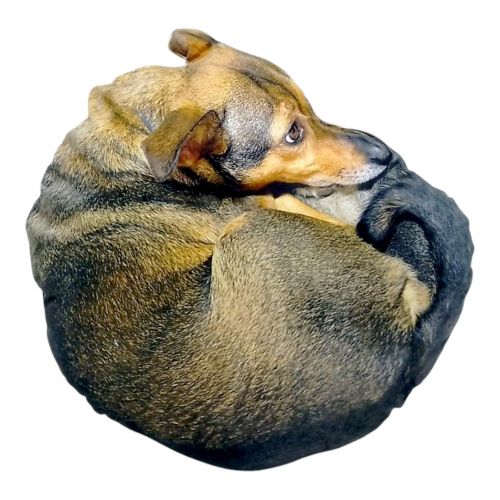 Іграшка м’яка 