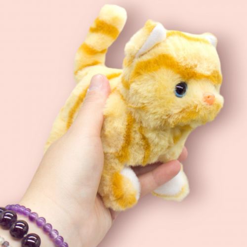 Інтерактивний котик 