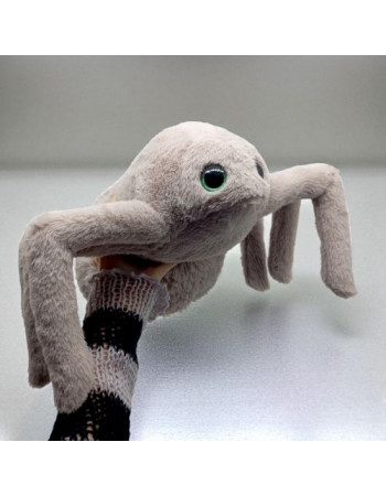 Павук мокко 35см