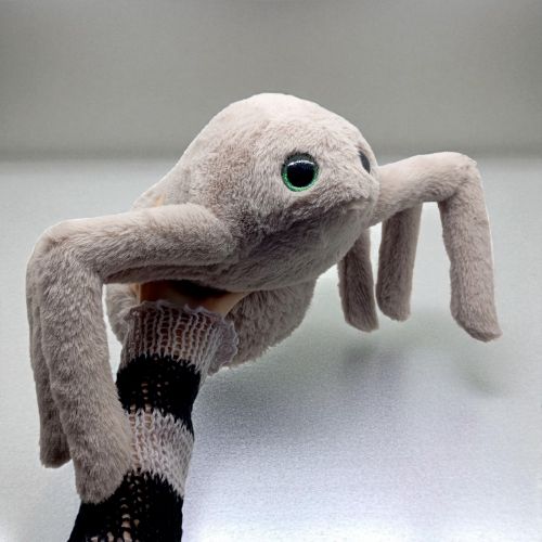 Павук мокко 35см