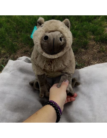 Мʼяка іграшка 