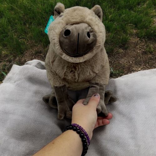 Мʼяка іграшка 