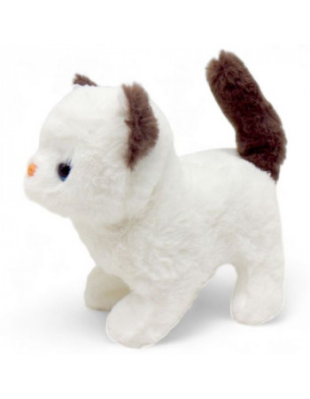 Інтерактивний котик 