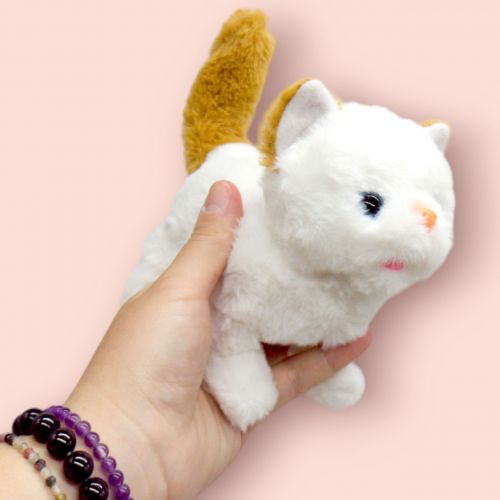 Інтерактивний котик 