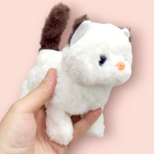 Інтерактивний котик 