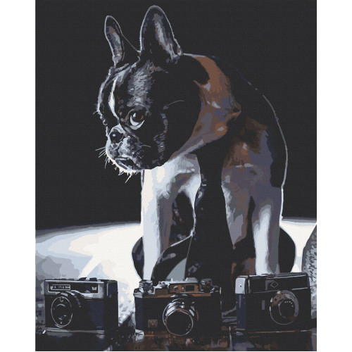 Картина по номерам. Art Craft 'Застенчивый фотограф' 40х50 см 11642-AC
