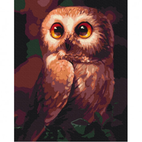 Картина по номерам 'Любознательная сова' BS51861, 40x50 см