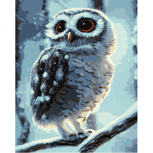 Картина по номерам 'Чудо-cова' ©Neag Mircea Marius Идейка KHO4458 40х50 см