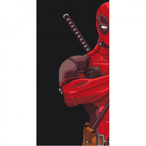 Картина по номерам 'Deadpool' 16084-AC 40х80 см