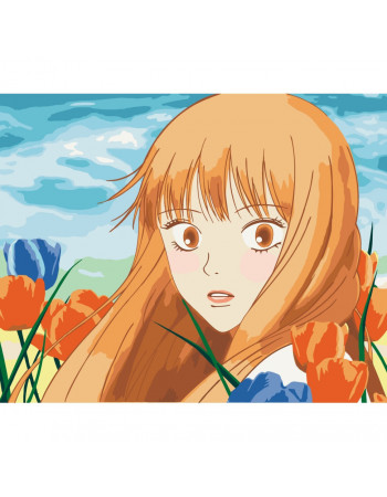 Картина по номерам без подрамника 'Kimi ni Todoke' 16066-ACNF Art Craft 40*50 см