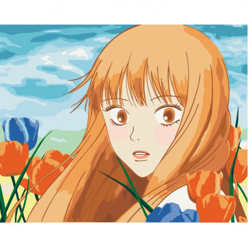 Картина по номерам без подрамника 'Kimi ni Todoke' 16066-ACNF Art Craft 40*50 см