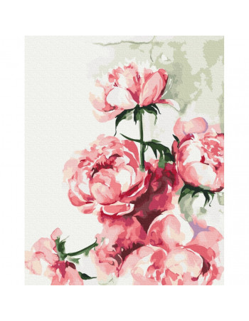 Картина по номерам 'Акварельные пионы' © Karolina Bundash Brushme BS53593 40х50 см