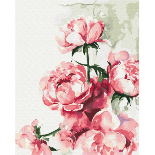 Картина по номерам 'Акварельные пионы' © Karolina Bundash Brushme BS53593 40х50 см