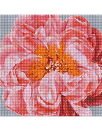 Алмазная мозаика 'Pink kiss' ©Ira Volkova Идейка AMO7079 40х40 см