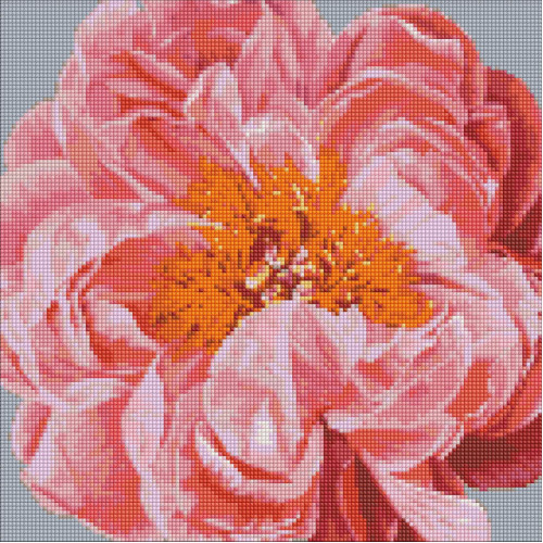 Алмазная мозаика 'Pink kiss' ©Ira Volkova Идейка AMO7079 40х40 см