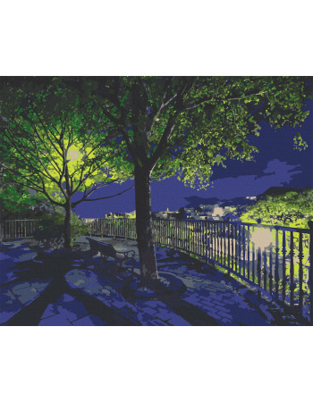 Картина по номерам. Art Craft 'Ночной парк' 40х50 см 10585-AC