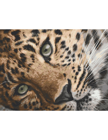 Картина по номерам. Art Craft 'Леопард' 40х50 см 11635-AC