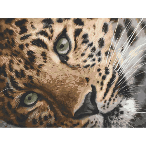 Картина по номерам. Art Craft 'Леопард' 40х50 см 11635-AC