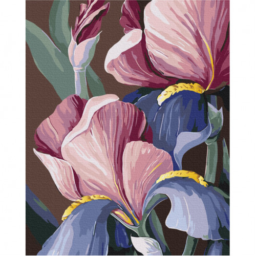 Картина по номерам 'Петушки' © Yana Biluhina Brushme BS53760 40x50 см