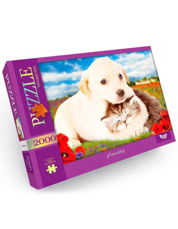 Пазл 'Friendship' Danko Toys C2000-01-09, 2000 эл.