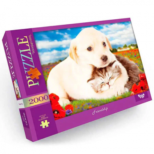 Пазл 'Friendship' Danko Toys C2000-01-09, 2000 эл.