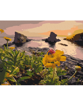 Картина по номерам. Art Craft 'Путешествуем за солнцем' 40*50 см 10514-AC