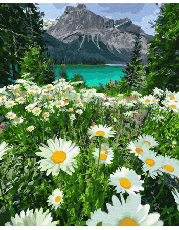 Картина по номерам. Brushme 'Ромашки у гор' GX29451