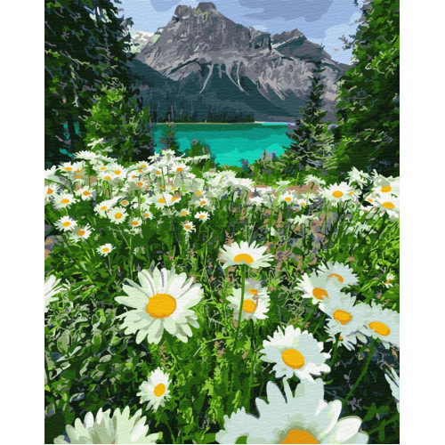 Картина по номерам. Brushme 'Ромашки у гор' GX29451