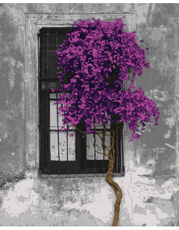 Картина по номерам. Art Craft 'Контраст жизни' 40*50см 11202-AC
