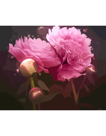 Картина по номерам. Art Craft  'Магические пионы' 40*50 см 12123-AC