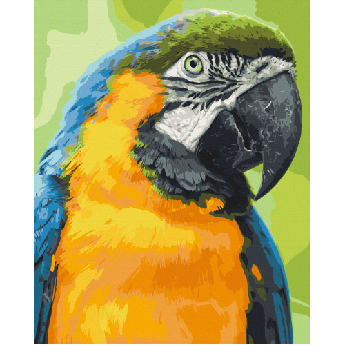 Картина по номерам. Art Craft 'Попугай Ара' 40х50 см 11643-AC