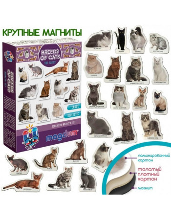 Набор магнитов Magdum 'Породы кошек' ML4031-13 EN