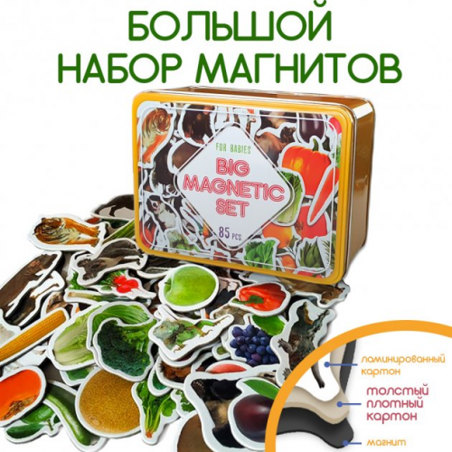 Набір магнітів Magdum 'Дитячий світ' ML 4031-61 EN