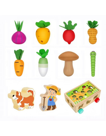 Дерев'яна розвиваюча іграшка 4в1 (сортер/грядка/черв'ячки/каталка) арт. C 71017