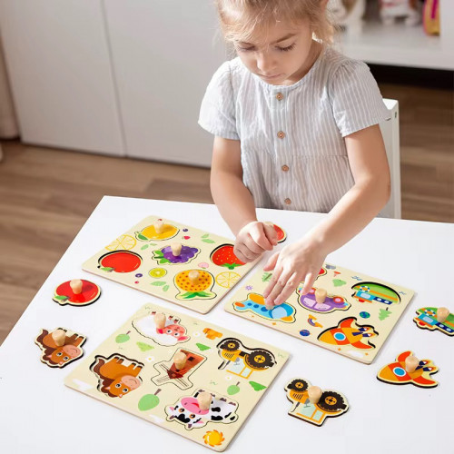 Дерев'яна іграшка 'рамка-вкладиш' арт. C 73250/5