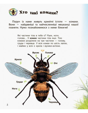 Енциклопедія дошкільника 'Комахи' RANOK (УКР) арт. С614014У