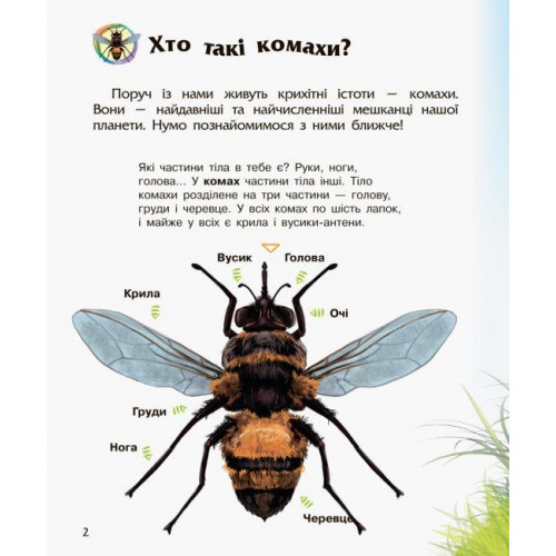 Енциклопедія дошкільника 'Комахи' RANOK (УКР) арт. С614014У